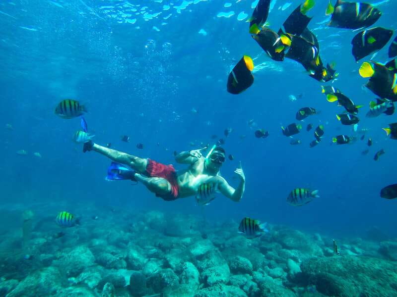 Cabo Catamaran Snorkel: Arch & Santa Maria, Open Bar, Snacks - Should you book the Cabo Catamaran Snorkel?