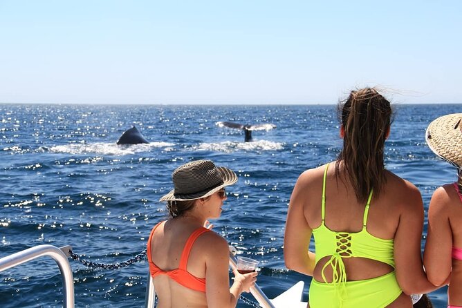 Cabo Catamaran – Snorkeling Tour & Coastal Views - Los Cabos from the sea: the views you can’t get on foot