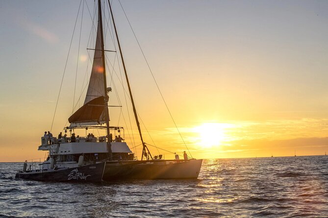 Cabo Cruise Sunset Adventure: Tacos, Margaritas & Sea Lions - Cabo Mar Catamaran Sunset: The Real-World Vibe
