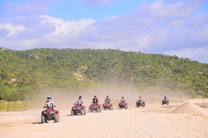 Cabo Desert Off-Road & Beach Horseback Combo and Tequila Tasting - Cabo Desert combo: quick hits
