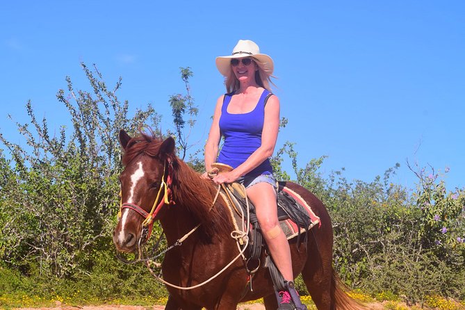 Cabo Desert Off-Road & Beach Horseback Combo and Tequila Tasting - Price and add-ons: what $100 turns into on the ground