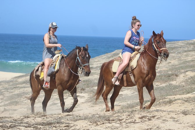 Cabo Desert Off-Road & Beach Horseback Combo and Tequila Tasting - Guides and group energy: Chino, Esteban, and the difference it makes