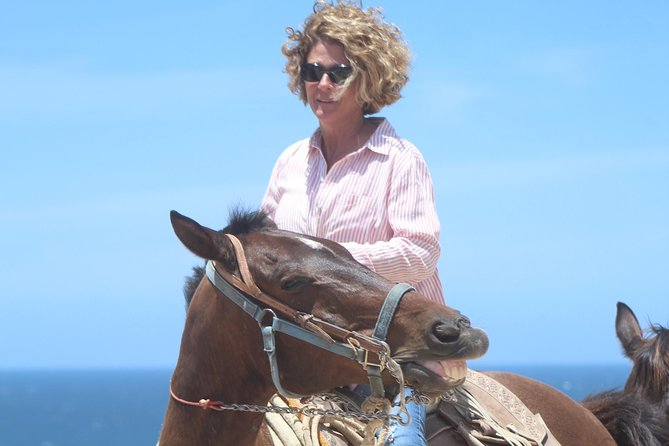 Cabo Desert Off-Road & Beach Horseback Combo and Tequila Tasting - Who should book this Cabo combo (and who might not)