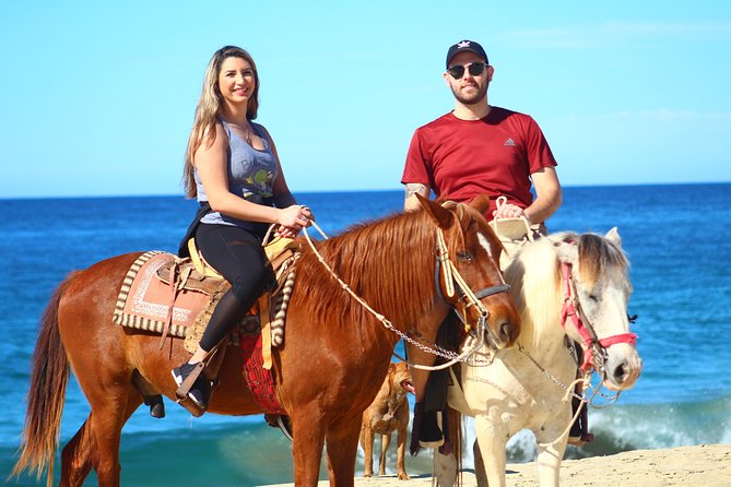 Cabo Desert Off-Road & Beach Horseback Combo and Tequila Tasting - Horseback on the white sand: the calm part that still delivers