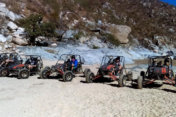 Cabo Dune Buggy- The Off Road Adventure - Desert fauna and Pacific Ocean viewpoints: the best photo moments are earned