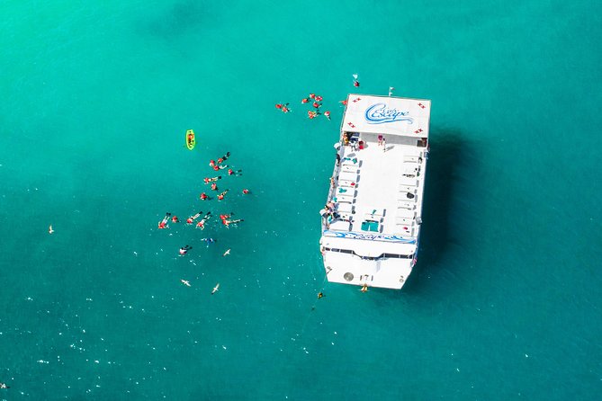 Cabo Escape Breakfast Snorkel Cruise - Meeting point, timing, and what 3 hours feels like