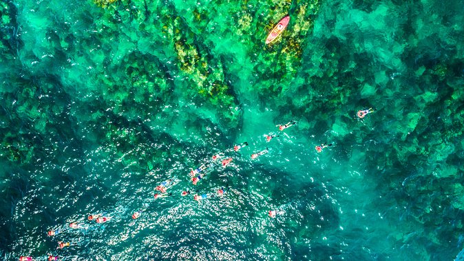 Cabo Escape Breakfast Snorkel Cruise - Unlimited drinks and the morning bar vibe (18+ note included)