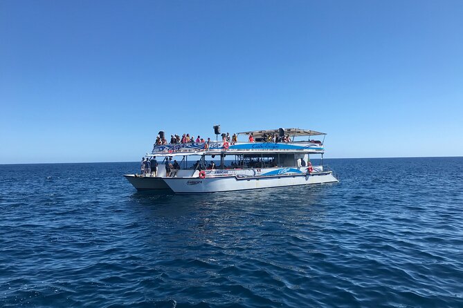 Cabo Escape Snorkel Fun Cruise - Timing, Seating, and How to Avoid a Bad Day at the Dock