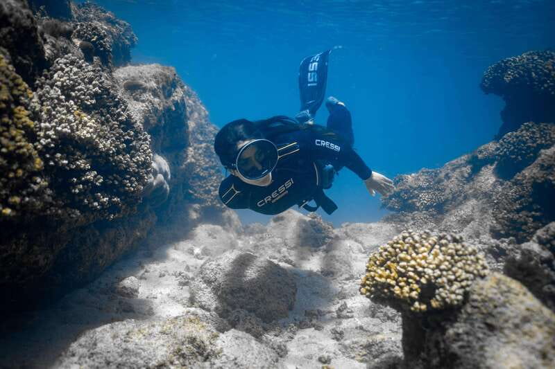 Cabo: Half-Day Kayak & Snorkel to Santa Maria & Chileno Bay - Gear, Wetsuits, and Guide Support: The Details That Affect Your Comfort