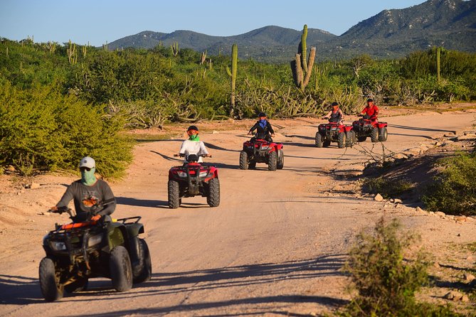 Cabo Migrino Beach and Desert ATV Tour plus Tequila Tasting - Stop-by-Stop: Migrino Desert First, Then the Beach