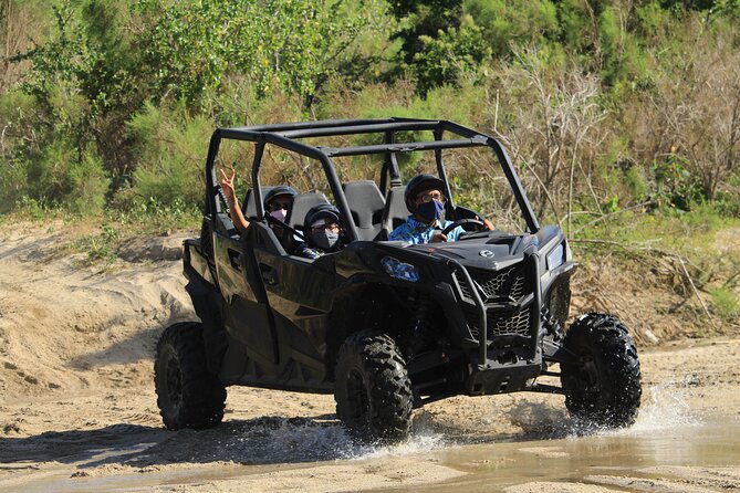Cabo Migrino Beach & Desert Tour (Quad UTV) - The ride itself: wind, wildlife, and a cactus you’ll remember