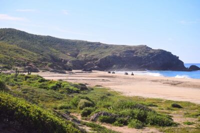 Cabo Migrino Beach & Desert Tour (Quad UTV) - Real Baja Tours: small-group energy and guide-driven fun