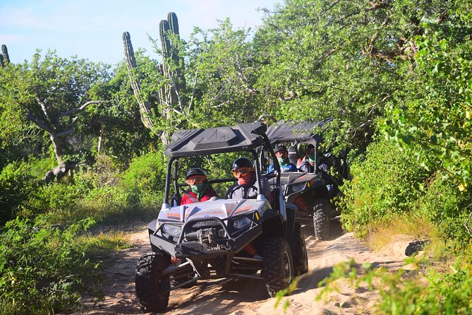Cabo Migrino Beach & Desert Tour (Triple UTV) - Price and value: what $350 per group really buys you