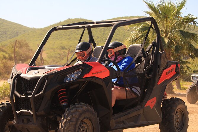 Cabo Migrino Beach & Desert UTV Tour and Tequila Tasting - Price and What You Actually Get for $100