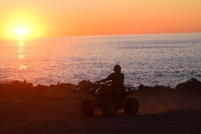 Cabo Original Real Baja 1000 Tour (Single ATV) - Course highlights you’ll remember: beach turns, inland grit, and desert cactus stops