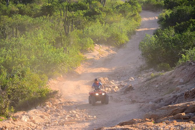 Cabo Original Real Baja 1000 Tour (Single ATV) - Who should book a Single ATV Real Baja 1000 tour