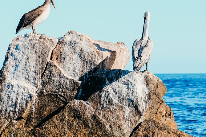 Cabo Private Catamaran: Chill Experience with Sup and Float Mat - Snacks and drinks: good value for a half-day on the water