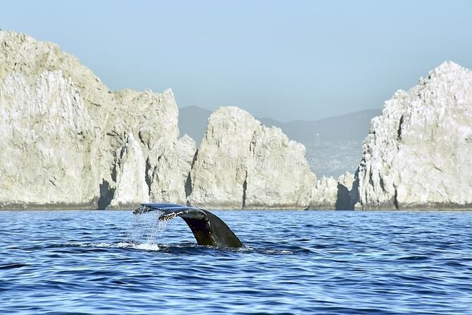 Cabo Private Transportation to Cabo - Los Cabos Airport to Cabo San Lucas Downtown: 30–50 Minutes (With Real-World Traffic)