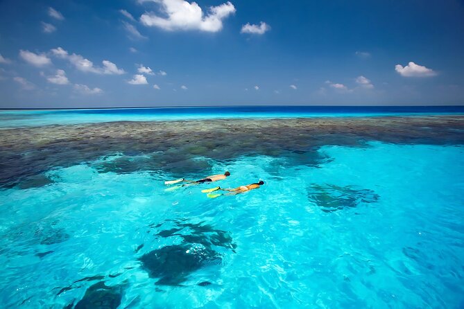 Cabo Private Yacht Cruise to El Arco with Snorkeling Adventure - El Arco sightseeing plus sea lions: the part that hits twice