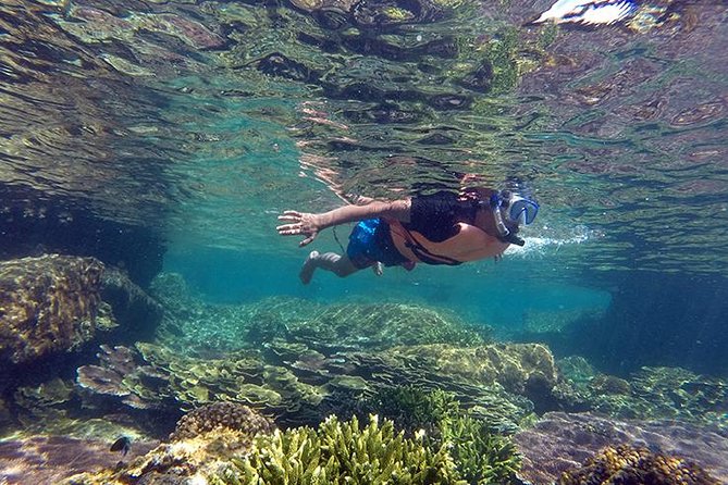 Cabo Pulmo National Park Snorkel Expedition from Cabo San Lucas - Key Points Worth Knowing Before You Go