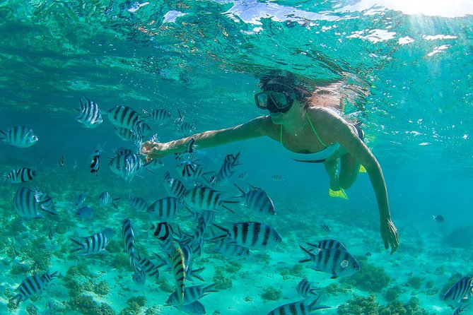 Cabo Pulmo National Park Snorkel Expedition from Cabo San Lucas - Why Cabo Pulmo Snorkeling Feels Like a Real Change From Cabo