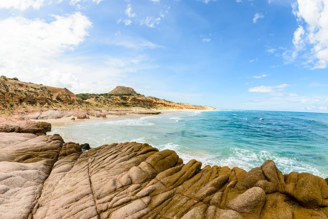 Cabo Pulmo National Park Snorkel Expedition from Cabo San Lucas - Who Should Book This Snorkel Expedition