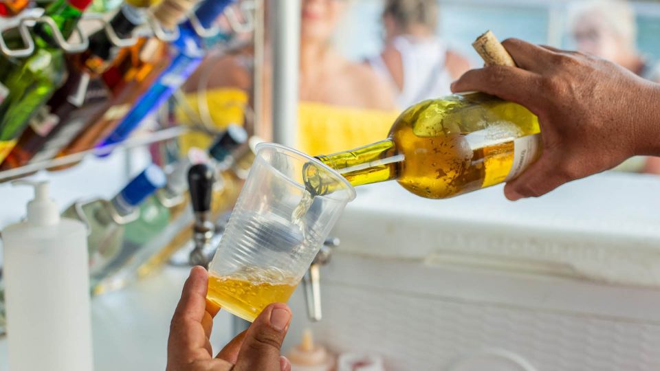 Cabo San Lucas: 2 Hour Sunset Cruise with Food and Wine - Food and Premium Wine: The On-Board Comfort Factor