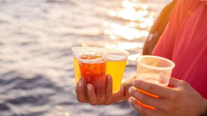 Cabo San Lucas: 2 Hour Sunset Cruise with Food and Wine - Pickup and Timing: Joining the Cruise Without Getting Stressed