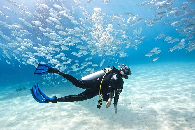 Cabo San Lucas 2 Tank Scuba Diving - Shallow-water gear check: the unsung hero of a good day