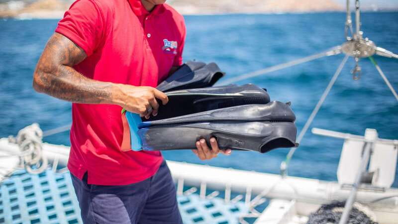 Cabo San Lucas: 4-Hour Snorkeling Cruise with Open Bar - Who This Cruise Fits Best in Cabo