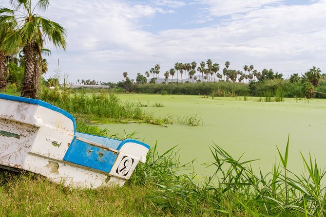 Cabo San Lucas and San Jose del Cabo Sightseeing Tour - The lagoon-estuary stop: birds, shade, and a breather from crowds
