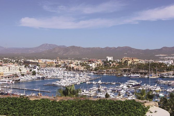 Cabo San Lucas and San Jose del Cabo Sightseeing Tour - Boat boarding and photo reality check