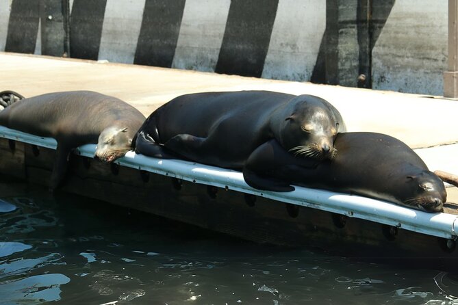 Cabo San Lucas Arc Group Tour in Glass Bottom Boat - Key Takeaways Before You Go