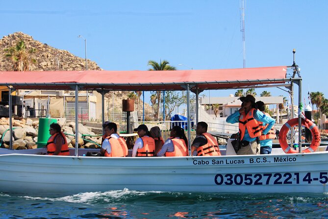 Cabo San Lucas Arc Group Tour in Glass Bottom Boat - Past Playa del Amor: Where Pacific Waves Meet the Sea of Cortez