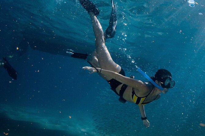 Cabo San Lucas Arch Boat Tour and Snorkeling at Pelican Rock - English and Team Reality: Ask, Adapt, Enjoy