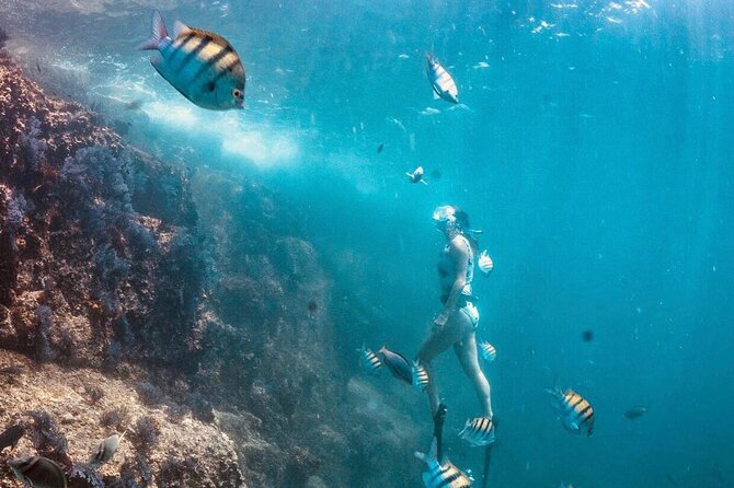 Cabo San Lucas Arch Boat Tour and Snorkeling at Pelican Rock - Weather, Waves, and the Short-Notice Truth