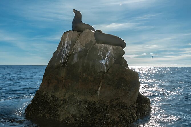 Cabo San Lucas Arch & City Tour: Glass-Bottom Boat & Tequila - Price and Value at $69 (Plus the $5 Dock Access Fee)