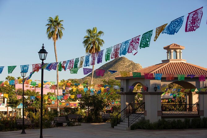 Cabo San Lucas Arch Cruise and Shopping Tour - From Pickup to the Marina: The Easy Part Is Getting There