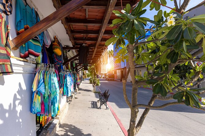 Cabo San Lucas Arch Cruise and Shopping Tour - Why the Small Group (Max 12) Makes a Difference