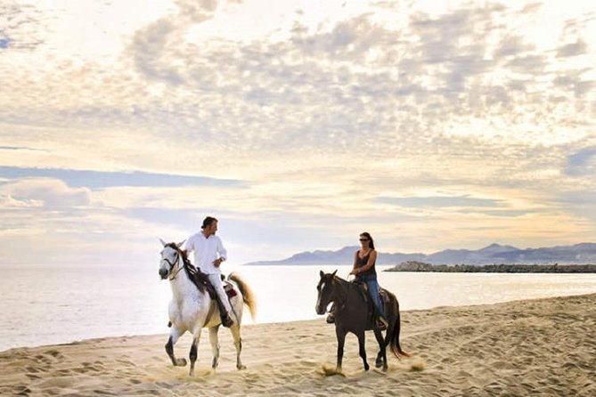 Cabo San Lucas Beach and Desert Horseback Ride - Key Highlights Worth Your Time