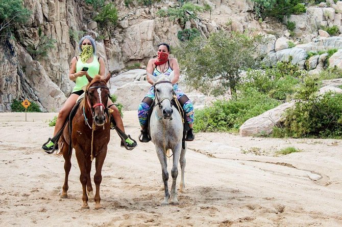 Cabo San Lucas Beach and Desert Horseback Ride - Desert to Beach: What This 2-Hour Ride Feels Like
