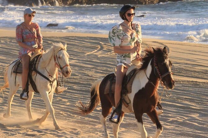 Cabo San Lucas Beach and Desert Horseback Ride - The Secluded Coastline: Ocean Views and Wildlife Chances