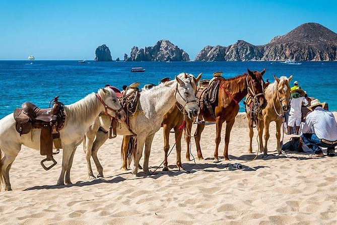 Cabo San Lucas Beach and Desert Horseback Ride - Price and Real Value: What You Pay and What You Don’t