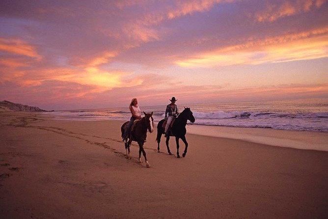 Cabo San Lucas Beach and Desert Horseback Ride - Getting There Without Stress: Pickup, Meeting Point, and Timing Buffers