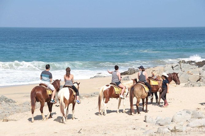 Cabo San Lucas Beach and Desert Horseback Ride - Riding Through Migrino Desert: Trails, Dried Riverbeds, and Real Quiet