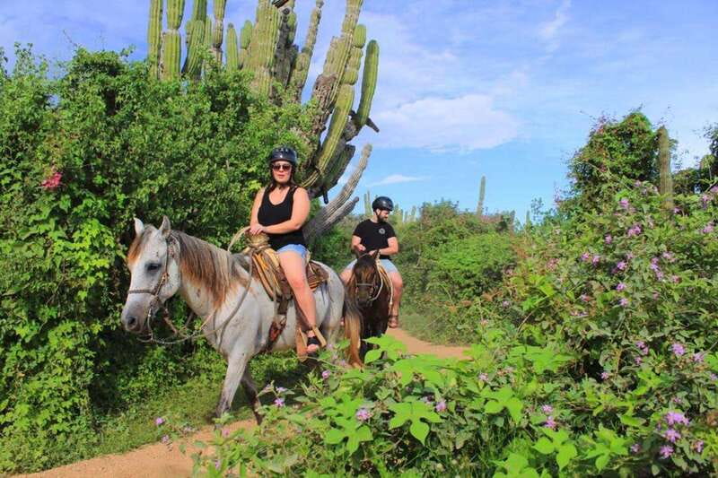 Cabo San Lucas: Beach & Desert Horseback Riding Tour - Cabo Pickup, Timing, and Where the Day Starts
