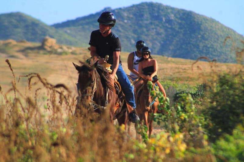 Cabo San Lucas: Beach & Desert Horseback Riding Tour - The Gear and Safety Routine That Sets the Tone