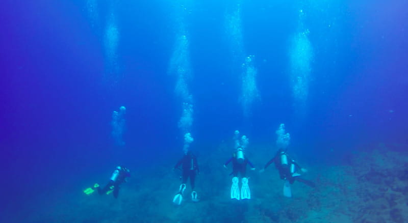 Cabo San Lucas: Beginners Diving Experience w/ Water & Snack - Snacks and Fresh Comfort: What Happens After You Surface