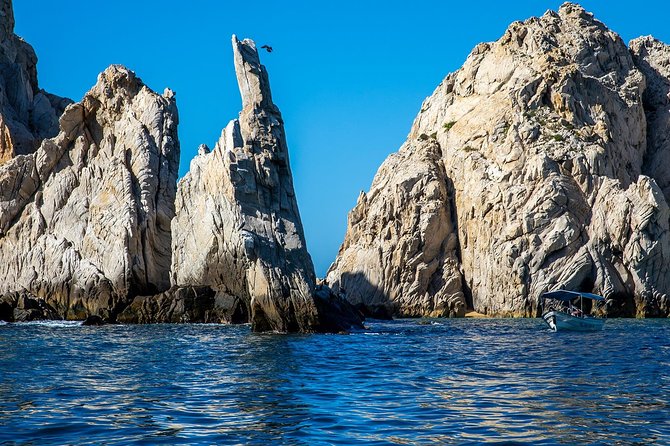 Cabo San Lucas Boat Tour - Tequila Tasting and Shopping: Enough Time to Enjoy, Not Just Browse