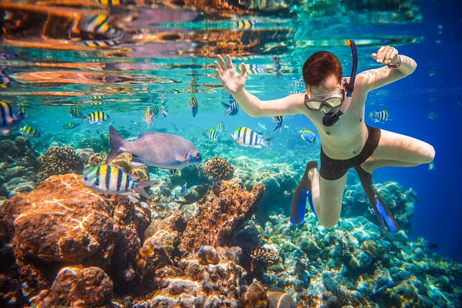 Cabo San Lucas Boat Tour and Snorkel at Pelican Rock - Pelican Rock: snorkeling time, sea lions, and real-water conditions